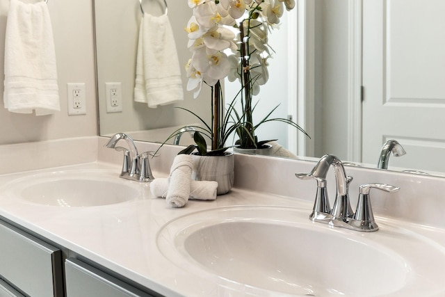 interior details featuring a sink and double vanity