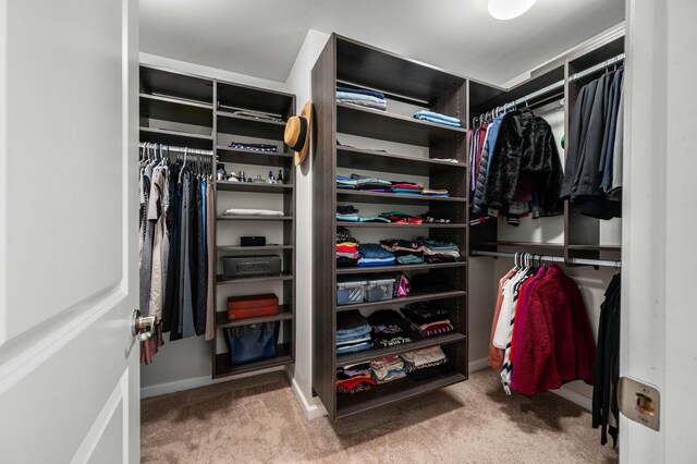 spacious closet with carpet floors