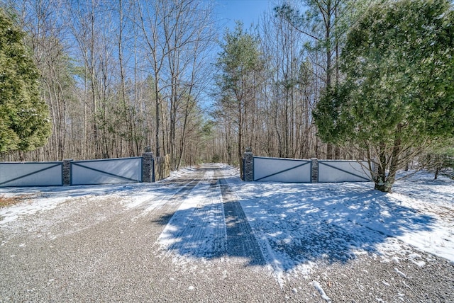 view of yard covered in snow