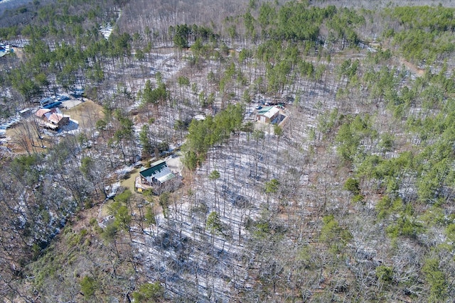 bird's eye view with a forest view