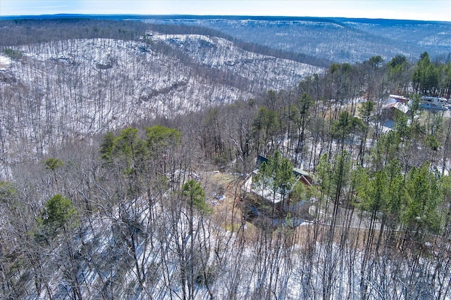 bird's eye view with a mountain view and a view of trees