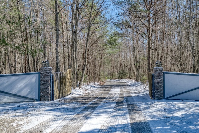 view of road with a gate and a gated entry