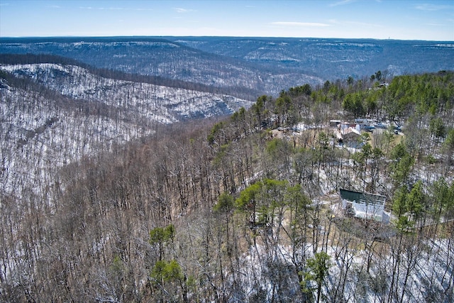 aerial view with a mountain view and a view of trees