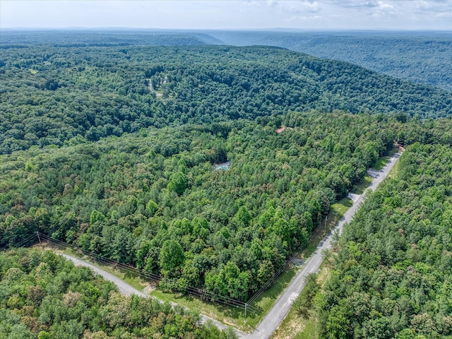 101 Dakota Ln, Spencer, TN 38585 - aerial view of a forest