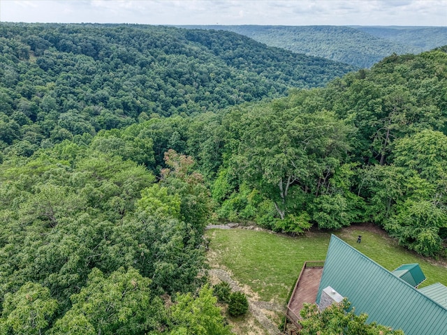 101 Dakota Ln, Spencer, TN 38585 - bird's eye view of a heavily wooded area