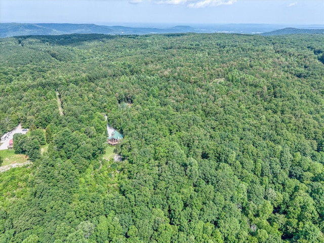 101 Dakota Ln, Spencer, TN 38585 - aerial overview of property's location featuring a forest
