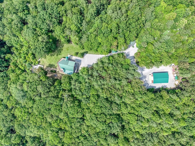 101 Dakota Ln, Spencer, TN 38585 - aerial view of property and surrounding area with a heavily wooded area and a pool area