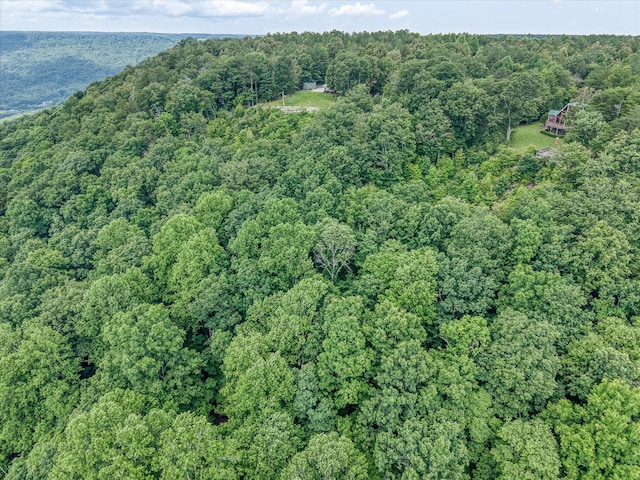 101 Dakota Ln, Spencer, TN 38585 - aerial overview of property's location with a heavily wooded area