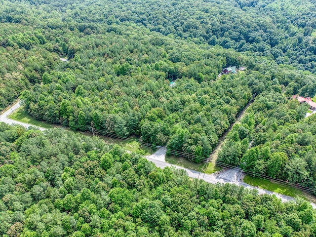 101 Dakota Ln, Spencer, TN 38585 - aerial view of a forest