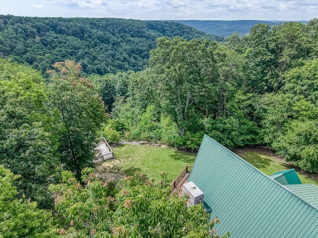 101 Dakota Ln, Spencer, TN 38585 - aerial view of property and surrounding area with a heavily wooded area