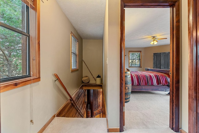 hallway featuring carpet, a healthy amount of sunlight, a textured ceiling, and an upstairs landing