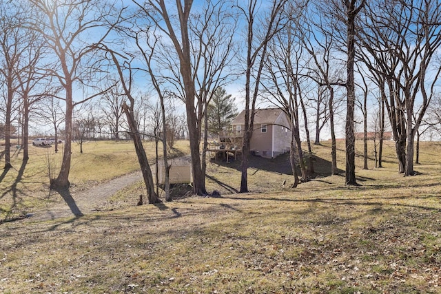 view of yard with a rural view