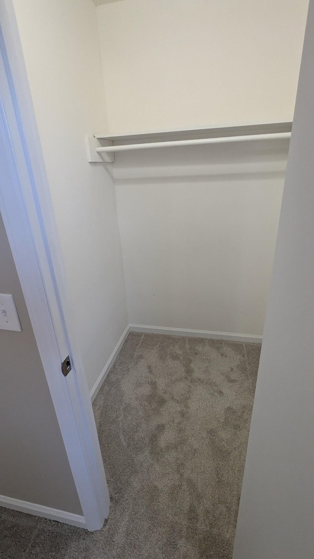 spacious closet with carpet flooring