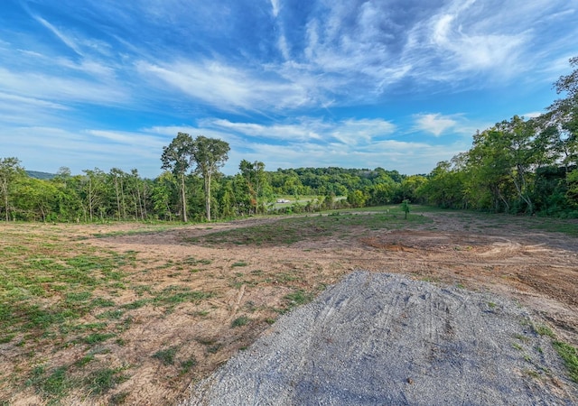 Listing photo 3 for 0 Murfreesboro Rd, College Grove TN 37046