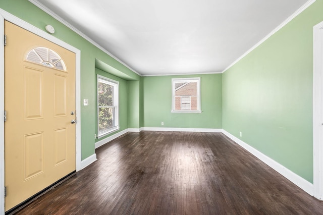 foyer entrance featuring dark wood-style floors, baseboards, and a wealth of natural light