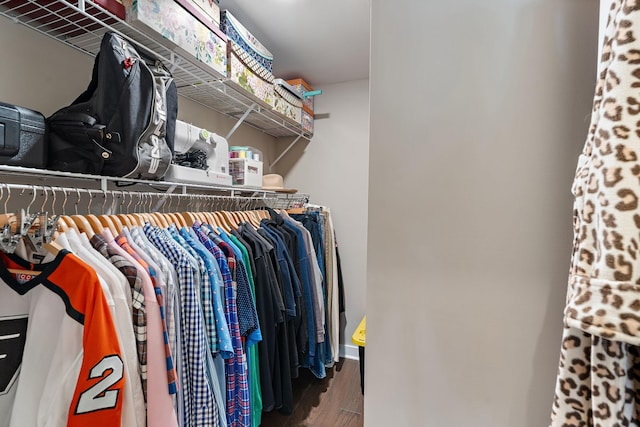 spacious closet with wood finished floors