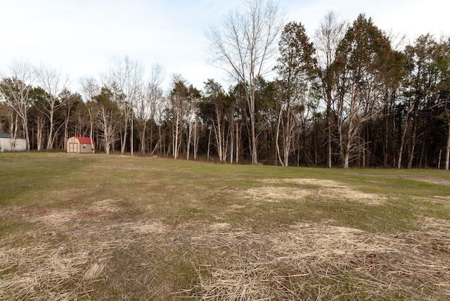 view of yard with an outdoor structure and a storage shed