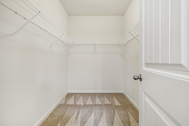 walk in closet with light carpet