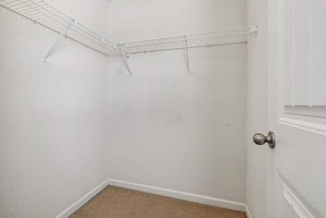 spacious closet with carpet floors