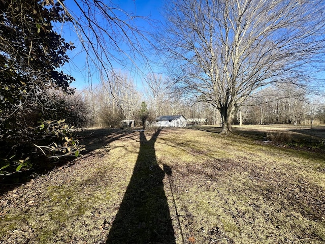 view of street with driveway