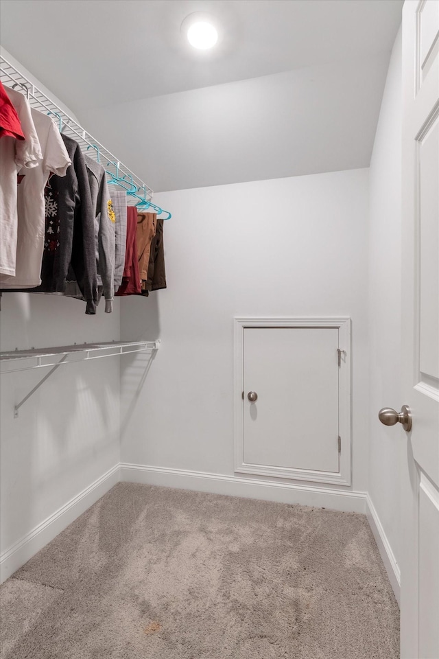 spacious closet featuring carpet floors