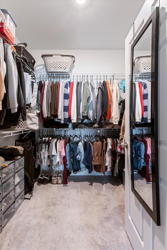 walk in closet with carpet floors