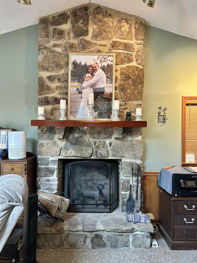 details featuring a stone fireplace, carpet flooring, wainscoting, and a textured ceiling