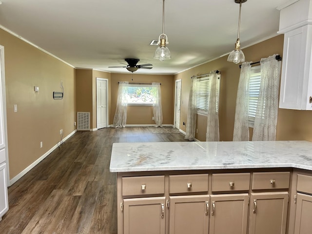 403 Bryan Blvd, Manchester, TN 37355 - kitchen featuring ceiling fan, crown molding, dark wood-type flooring, pendant lighting, and baseboards