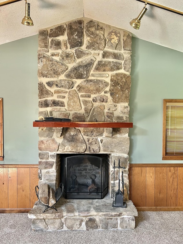403 Bryan Blvd, Manchester, TN 37355 - detailed view of a wainscoted wall, a stone fireplace, a textured ceiling, wood walls, and carpet floors