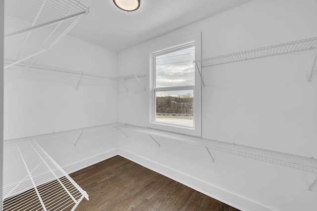 spacious closet with dark wood-style flooring