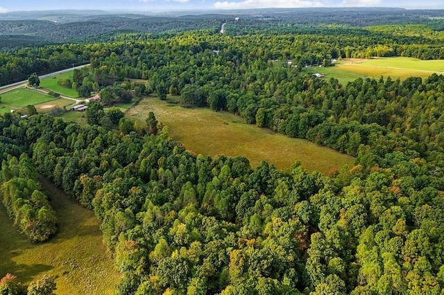 bird's eye view with a view of trees