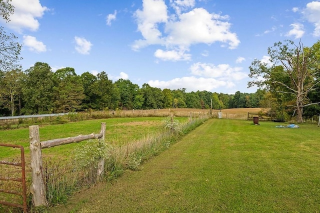 view of yard with a rural view