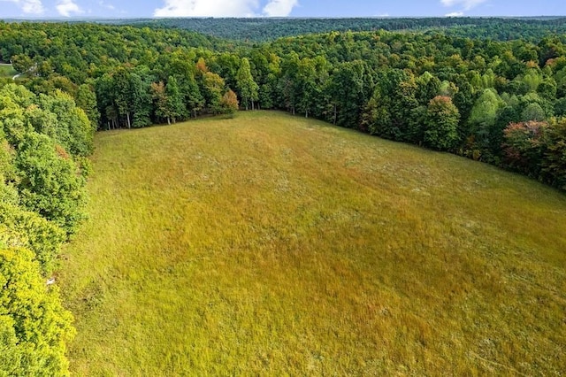 bird's eye view with a view of trees