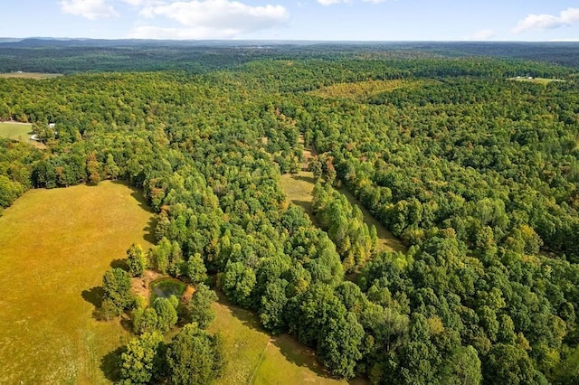 bird's eye view with a forest view