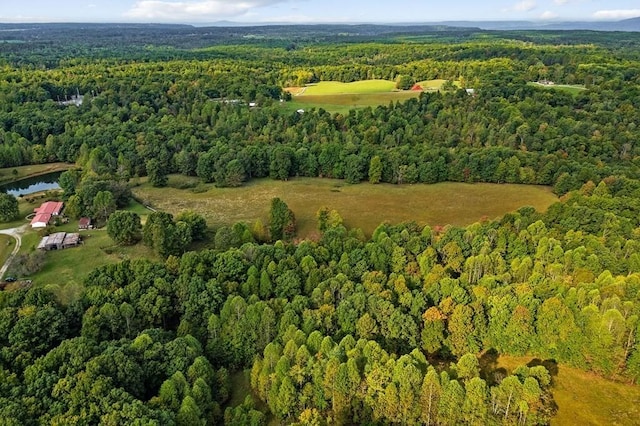 aerial view featuring a water view and a view of trees