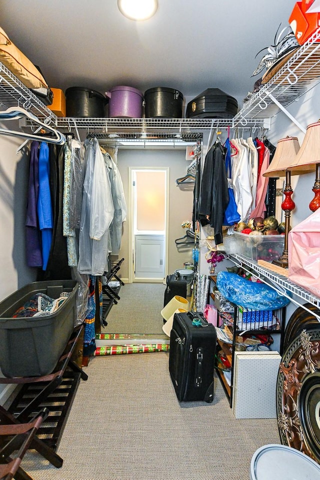 walk in closet with carpet