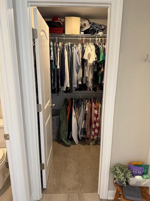 view of closet