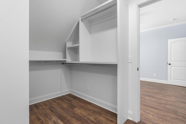 walk in closet featuring dark wood-type flooring