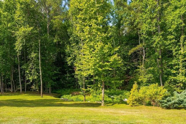 view of nature featuring a forest view