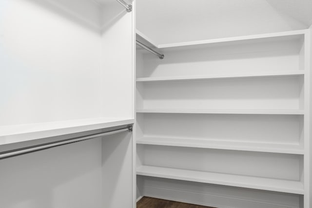 spacious closet with dark wood finished floors