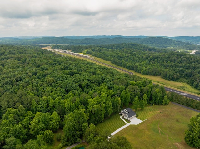 bird's eye view with a view of trees