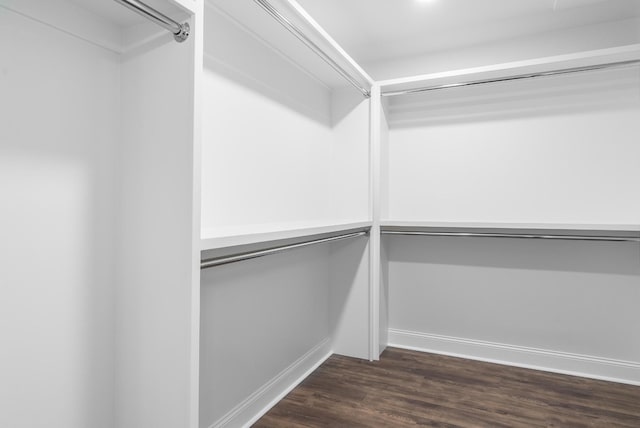 walk in closet featuring dark wood-style flooring