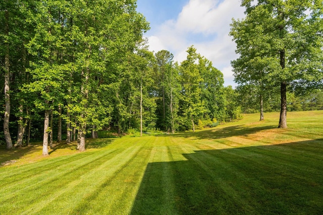 view of yard featuring driveway