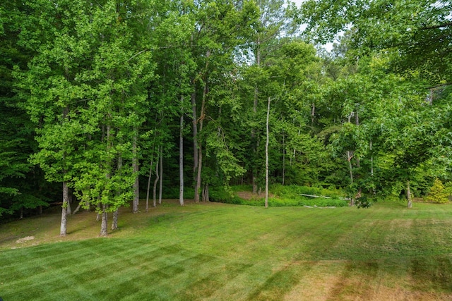 view of yard with a forest view