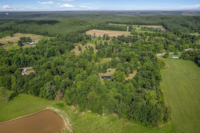 aerial view with a forest view