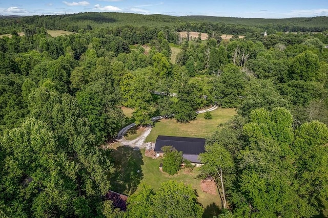 bird's eye view with a forest view