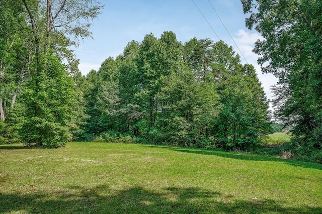 view of yard with a view of trees