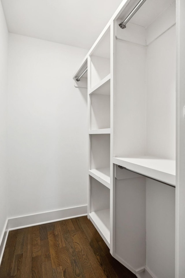 spacious closet featuring dark wood finished floors