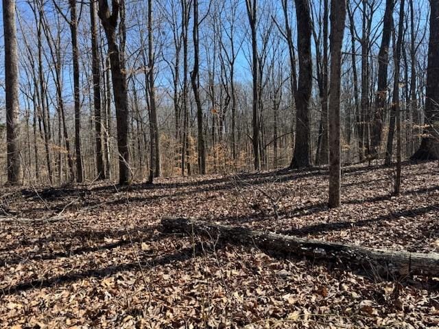 view of landscape featuring a wooded view