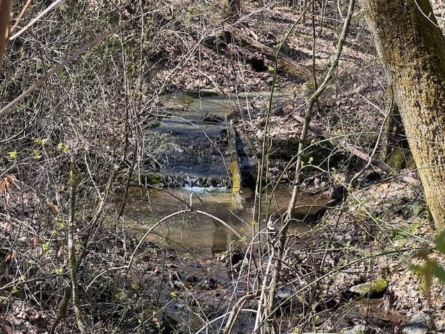 view of local wilderness with a water view